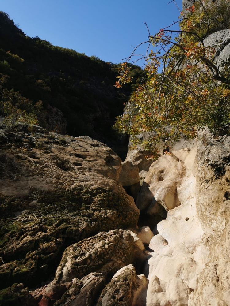 WhatsApp-Image-2021-10-30-at-154220