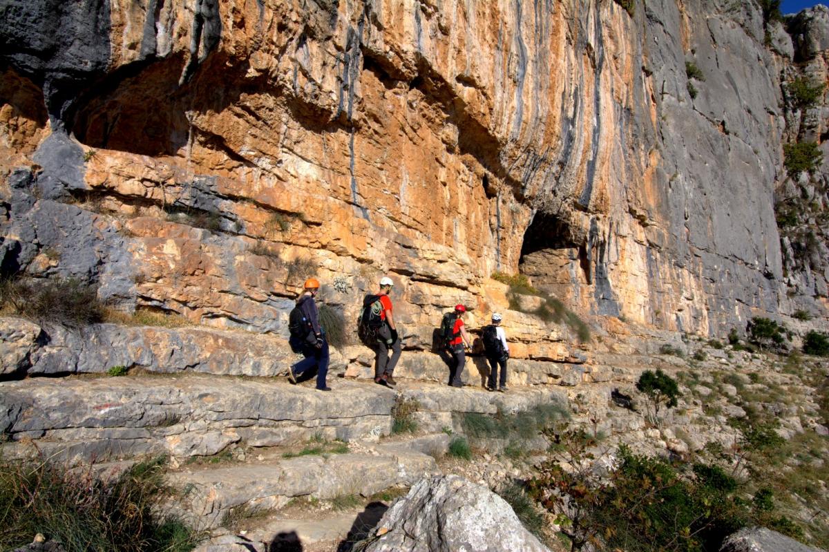 WhatsApp-Image-2021-10-31-at-052555