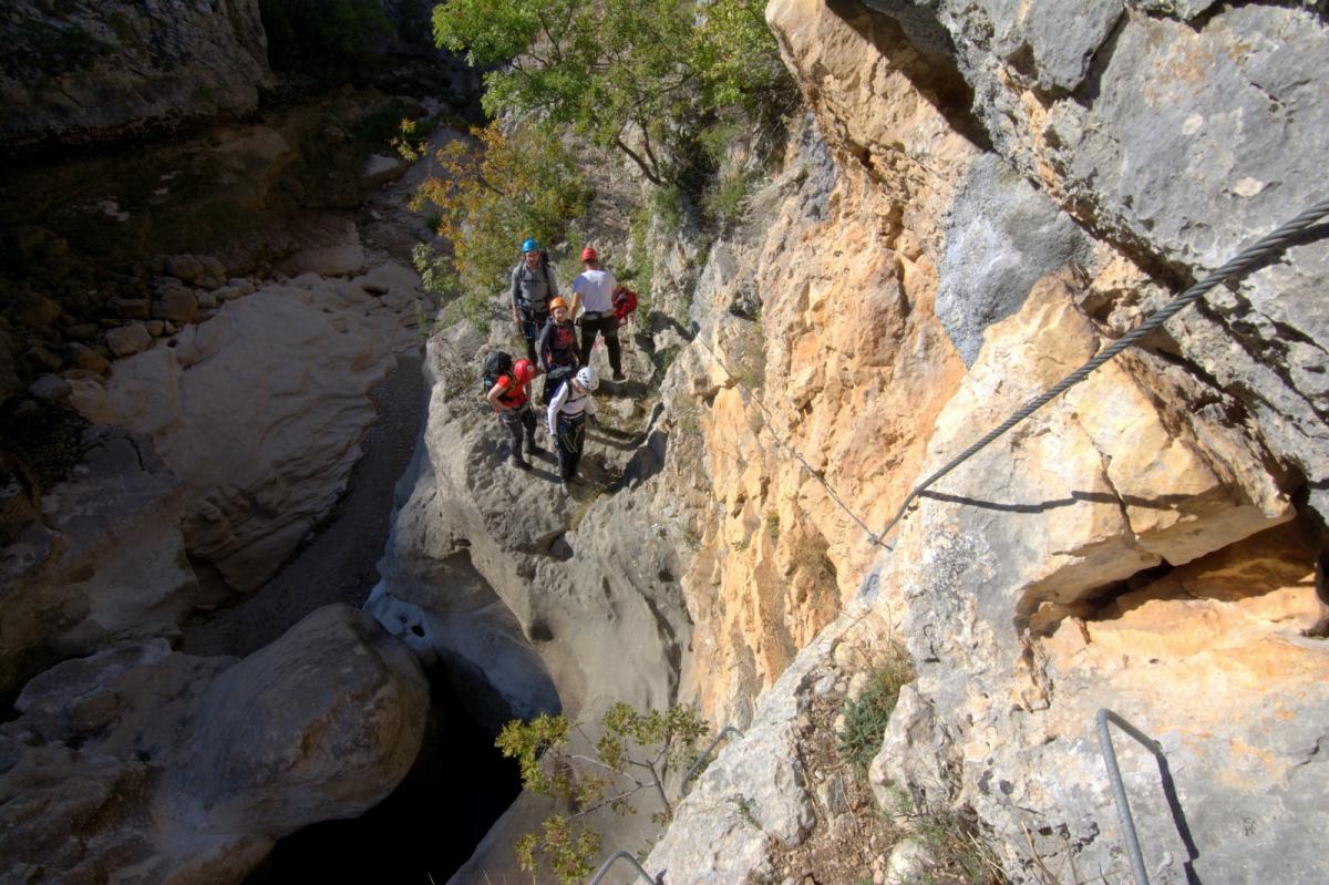 WhatsApp-Image-2021-10-31-at-052830-1