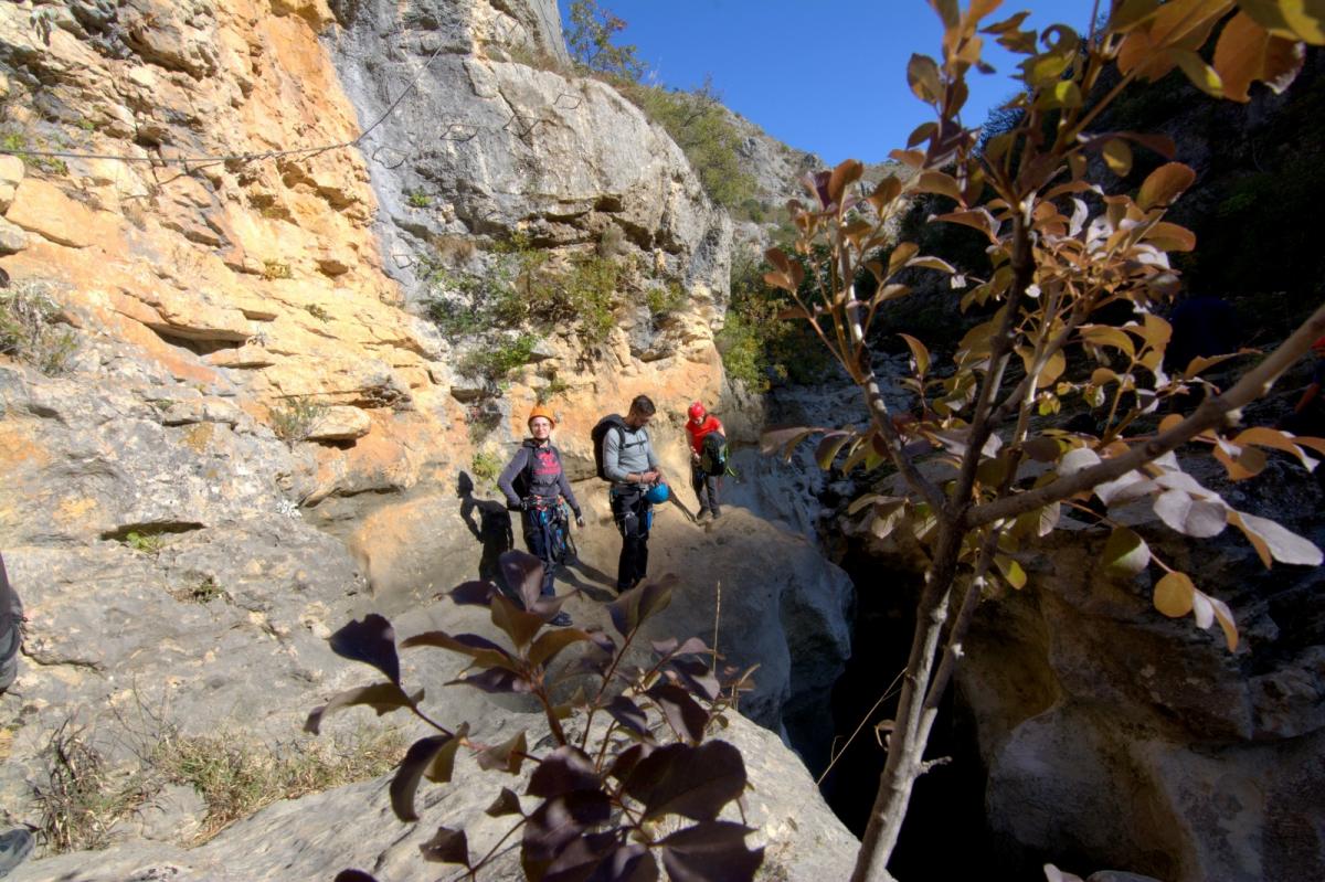 WhatsApp-Image-2021-10-31-at-052830-2