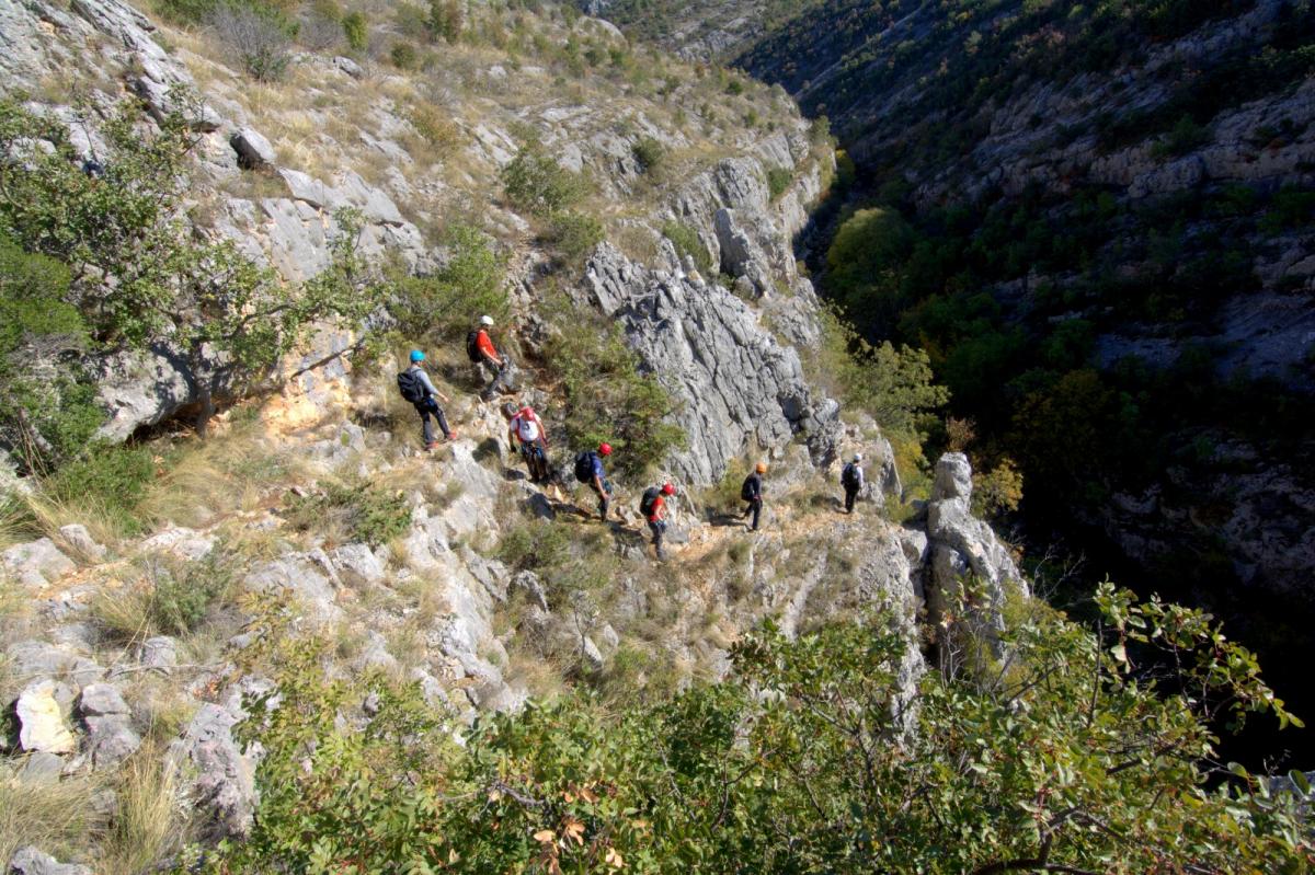 WhatsApp-Image-2021-10-31-at-052951