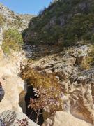 WhatsApp-Image-2021-10-30-at-154129-1