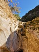 WhatsApp-Image-2021-10-30-at-154219-1