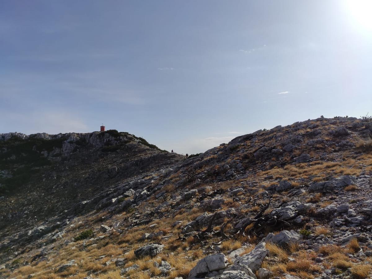 WhatsApp-Image-2021-11-07-at-171225