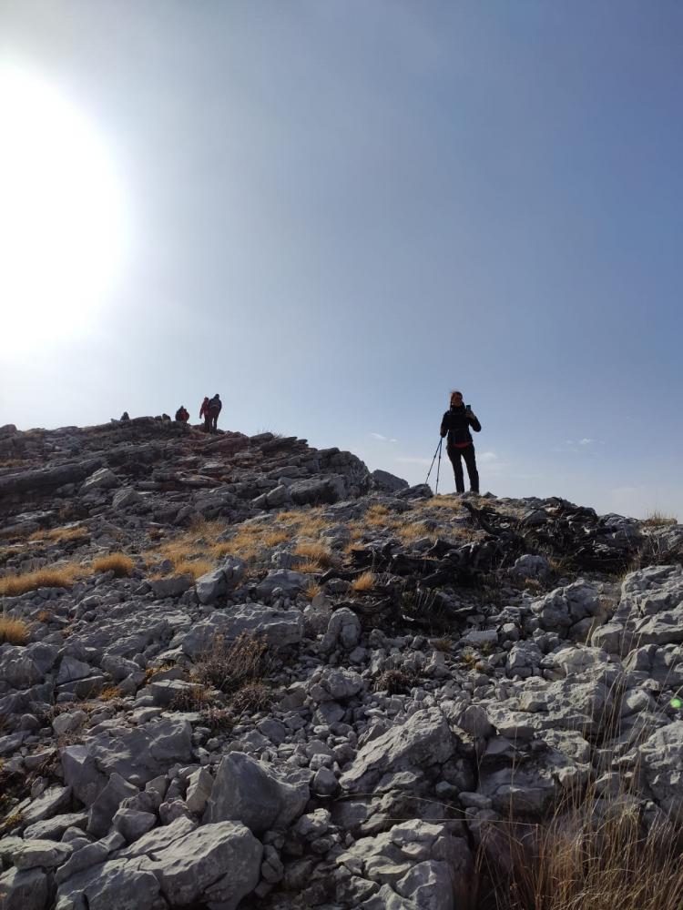 WhatsApp-Image-2021-11-07-at-171226-2