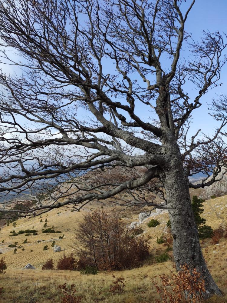 WhatsApp-Image-2021-11-07-at-171227-2