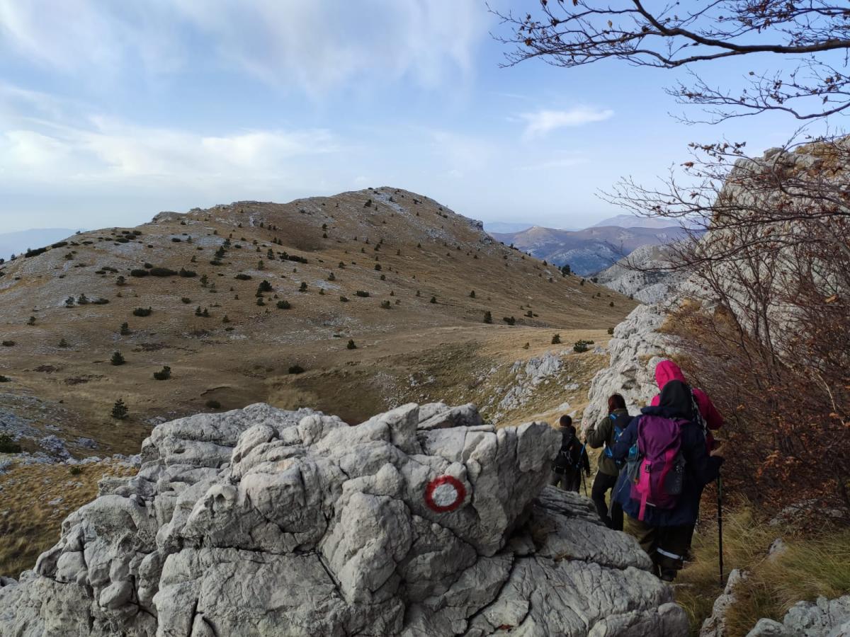 WhatsApp-Image-2021-11-07-at-171228-1