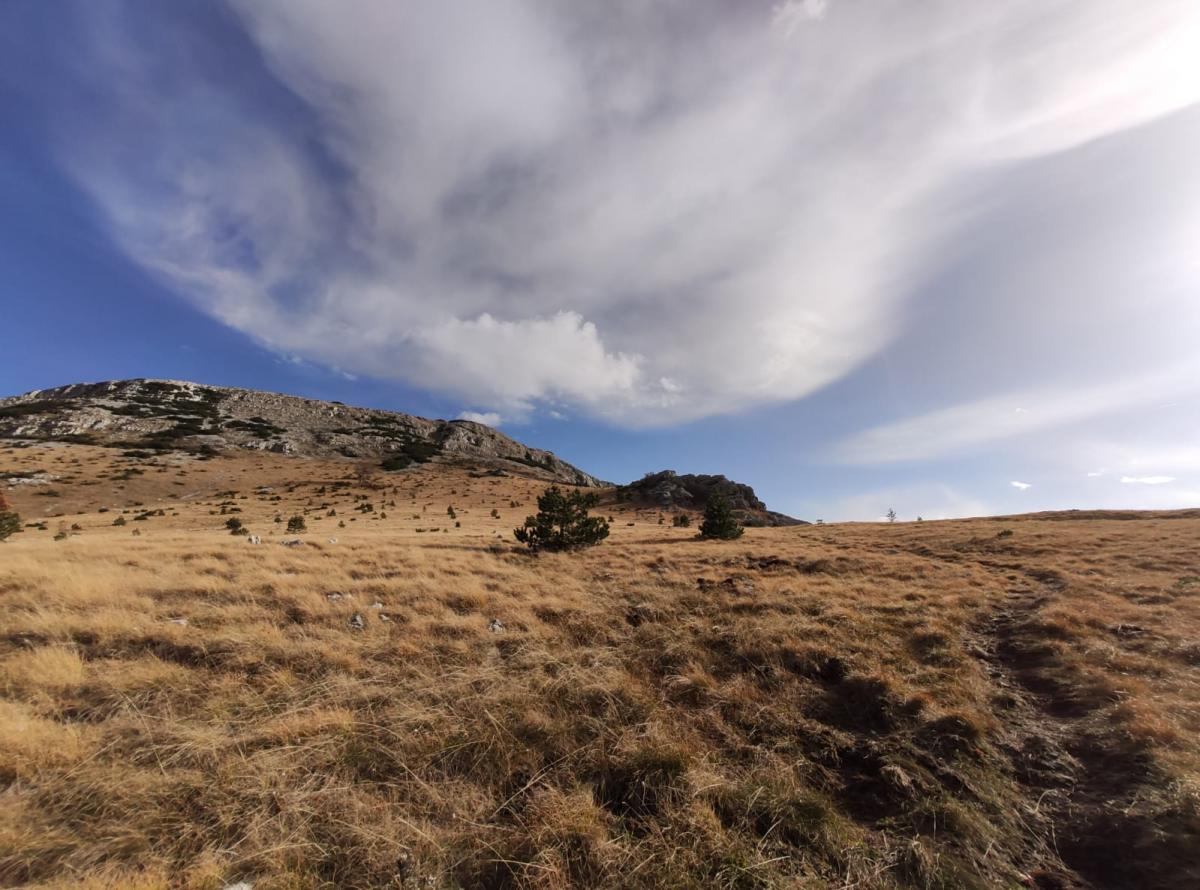 WhatsApp-Image-2021-11-07-at-171228-3