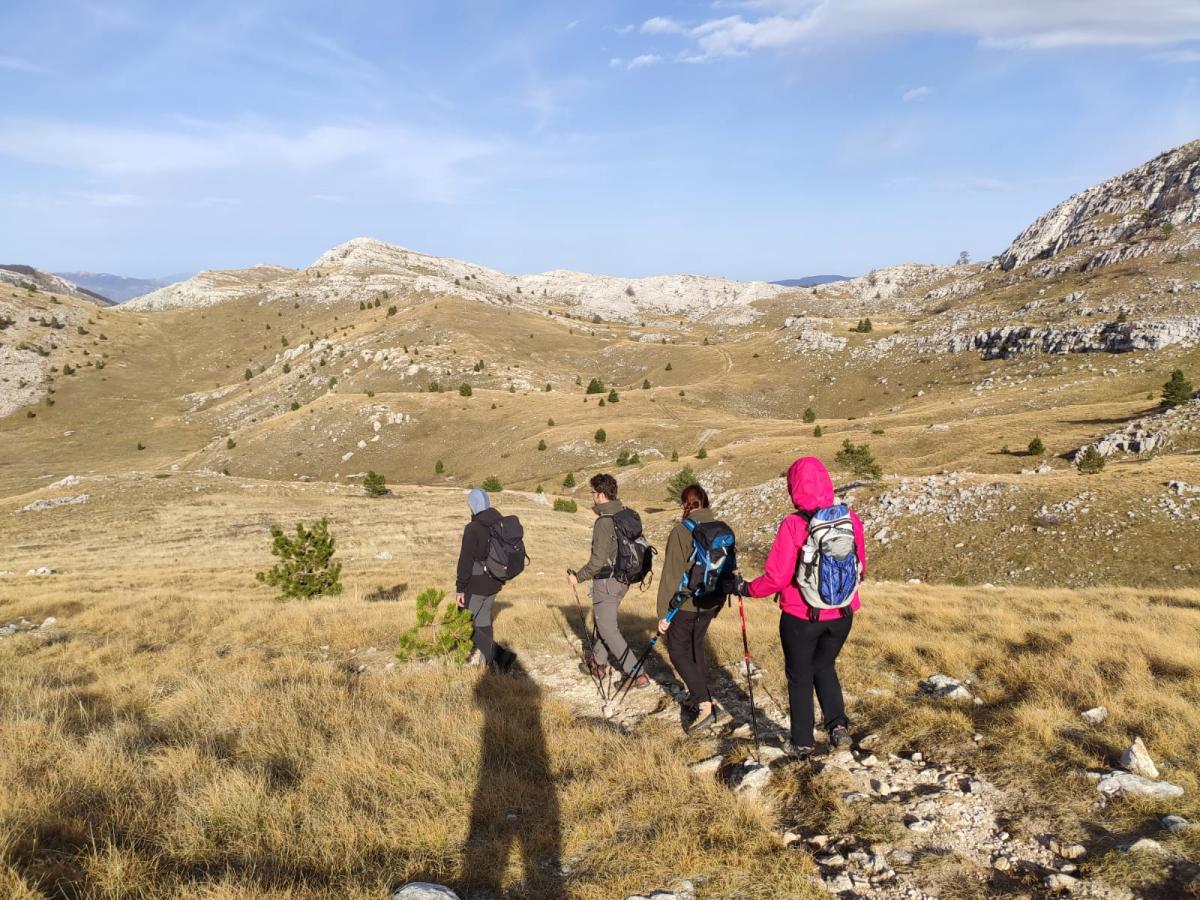 WhatsApp-Image-2021-11-07-at-171228