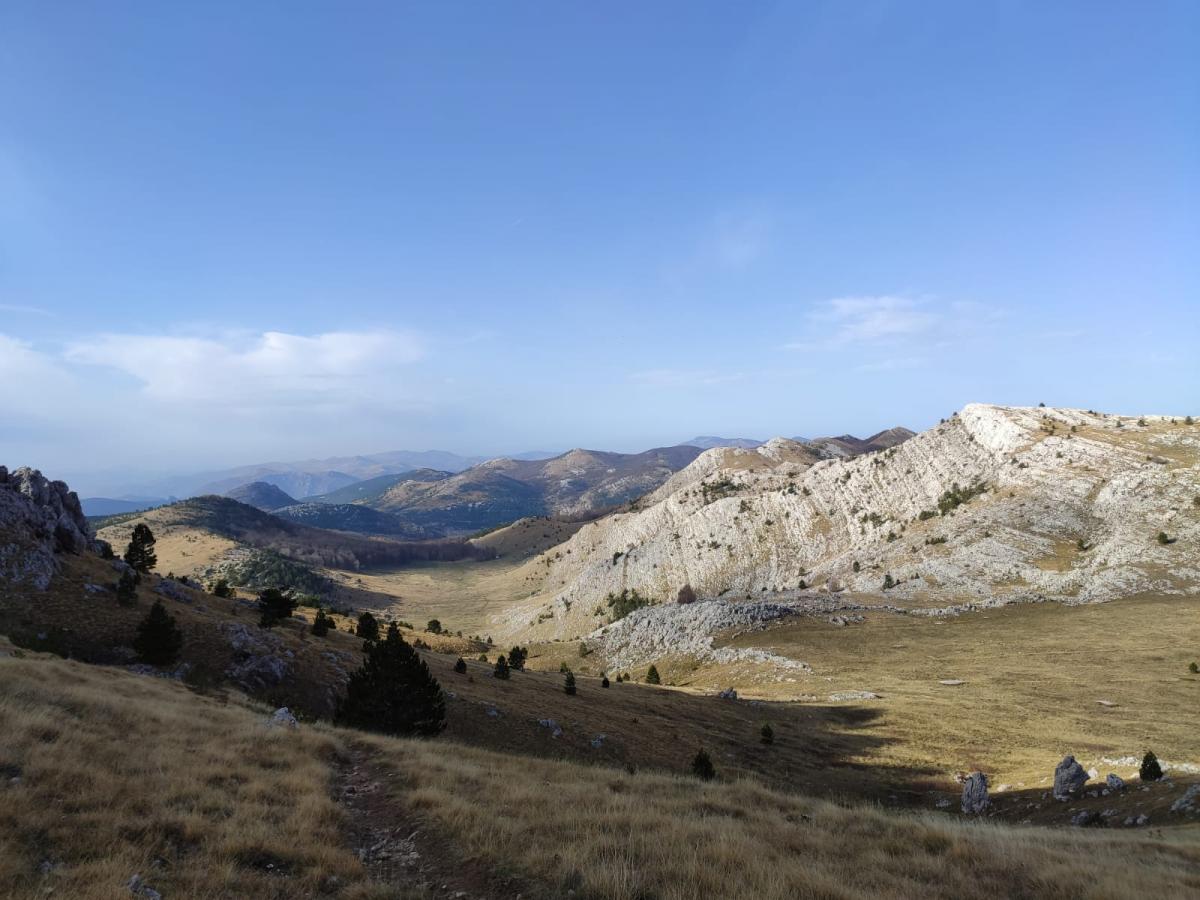 WhatsApp-Image-2021-11-07-at-171229-2