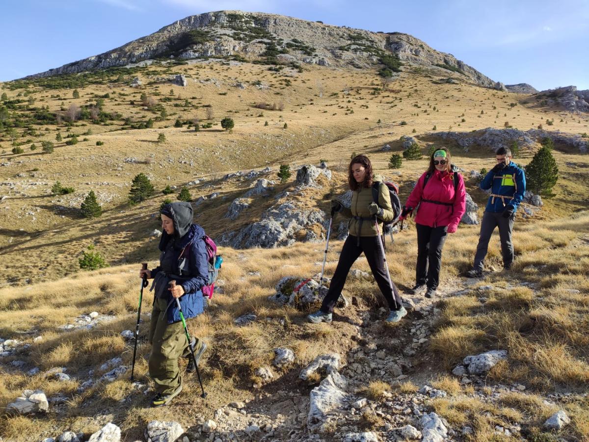 WhatsApp-Image-2021-11-07-at-171229-3