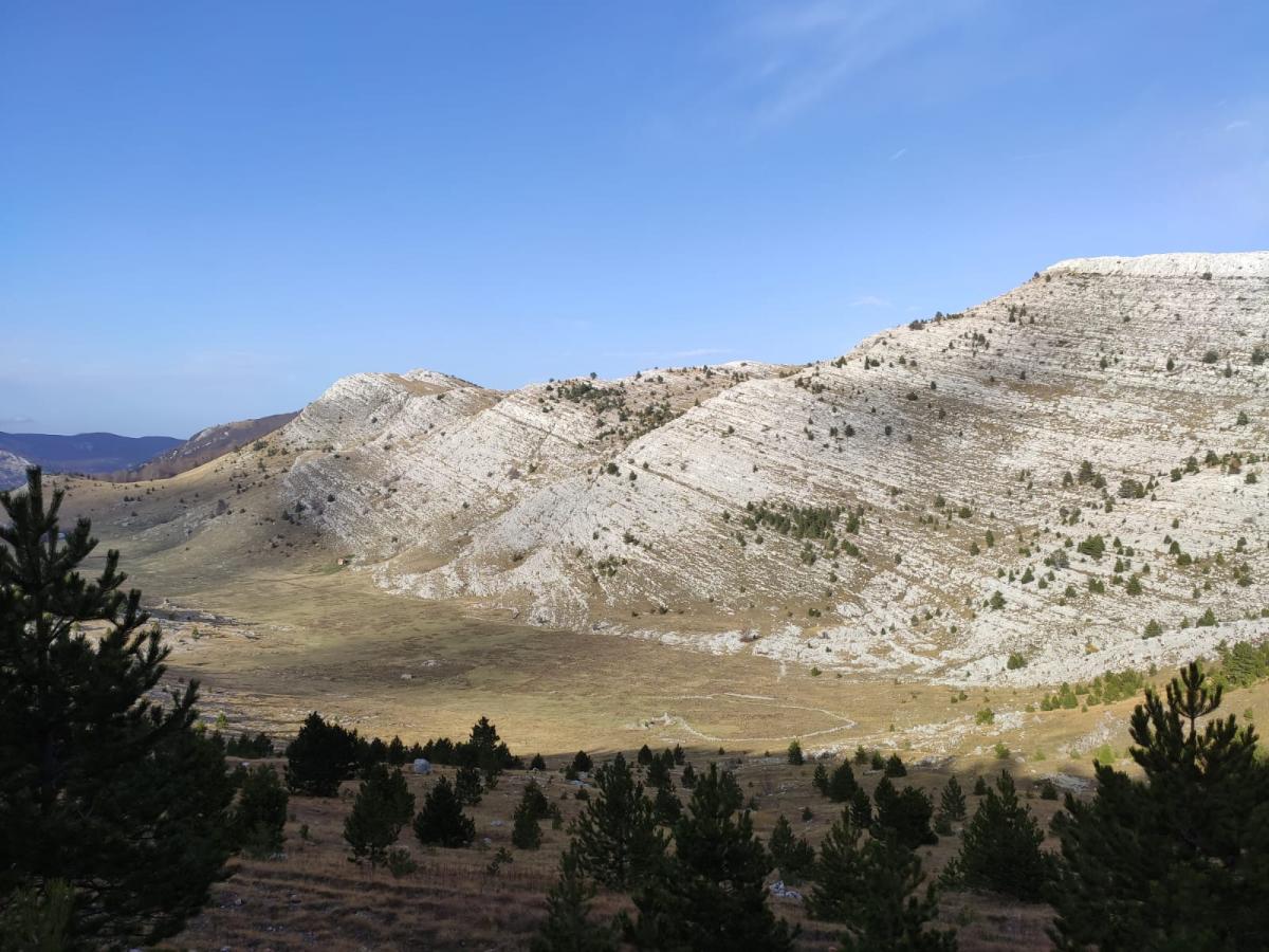 WhatsApp-Image-2021-11-07-at-171230-1