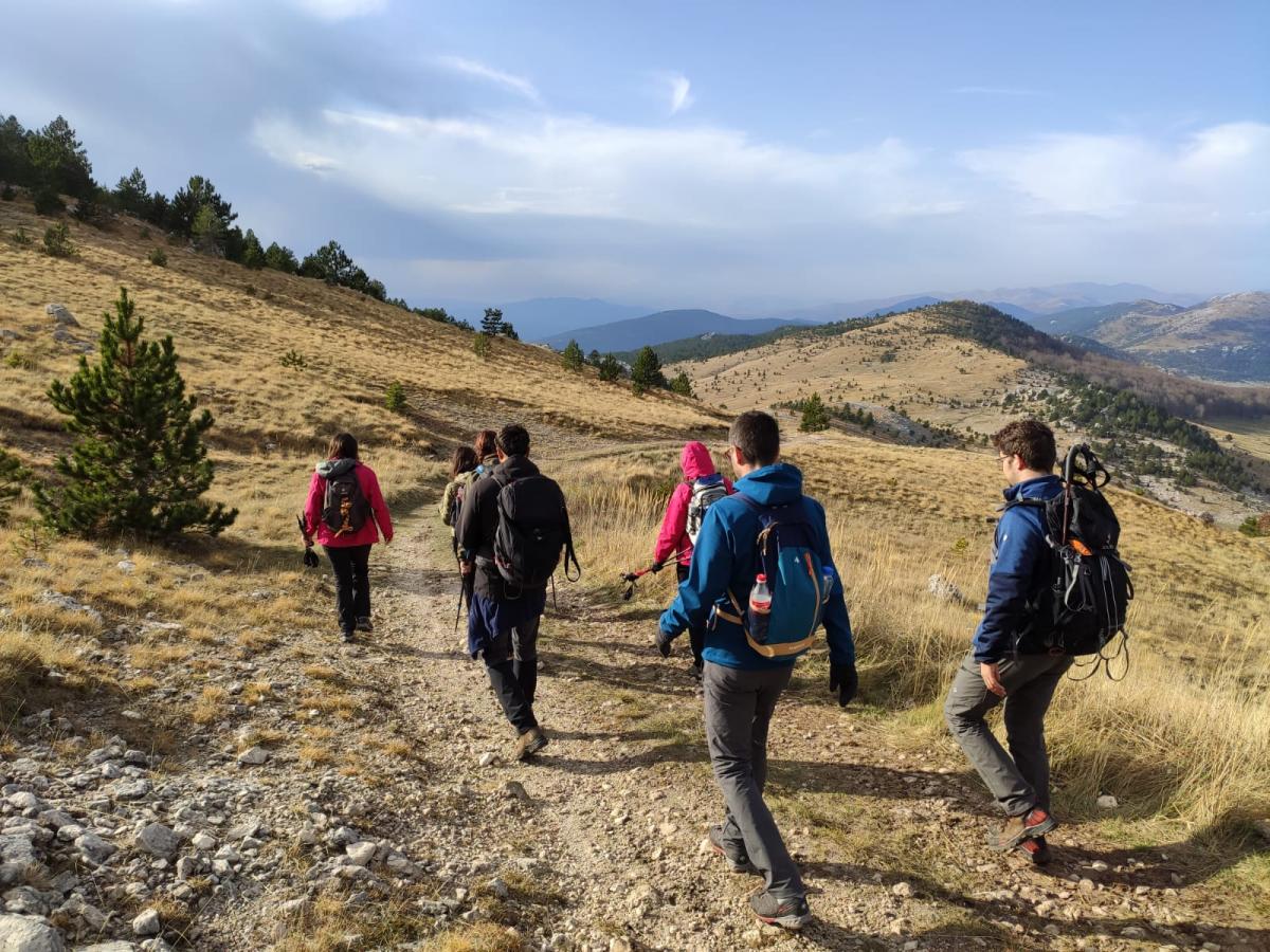 WhatsApp-Image-2021-11-07-at-171230-3