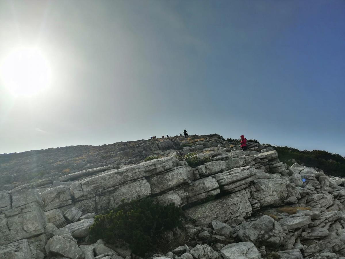 WhatsApp-Image-2021-11-07-at-171329