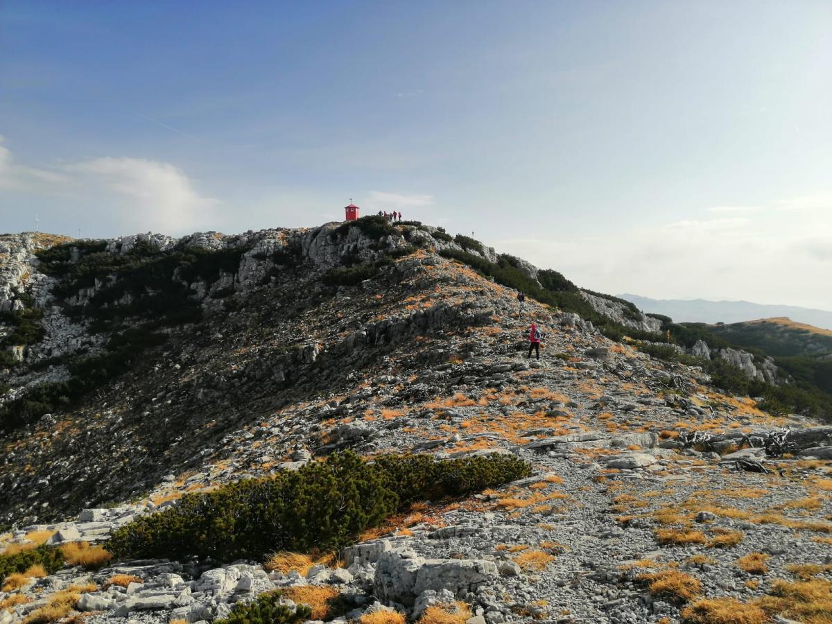 WhatsApp-Image-2021-11-07-at-171330-1