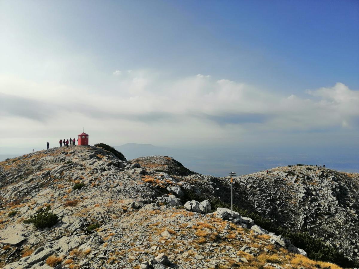 WhatsApp-Image-2021-11-07-at-171330-2