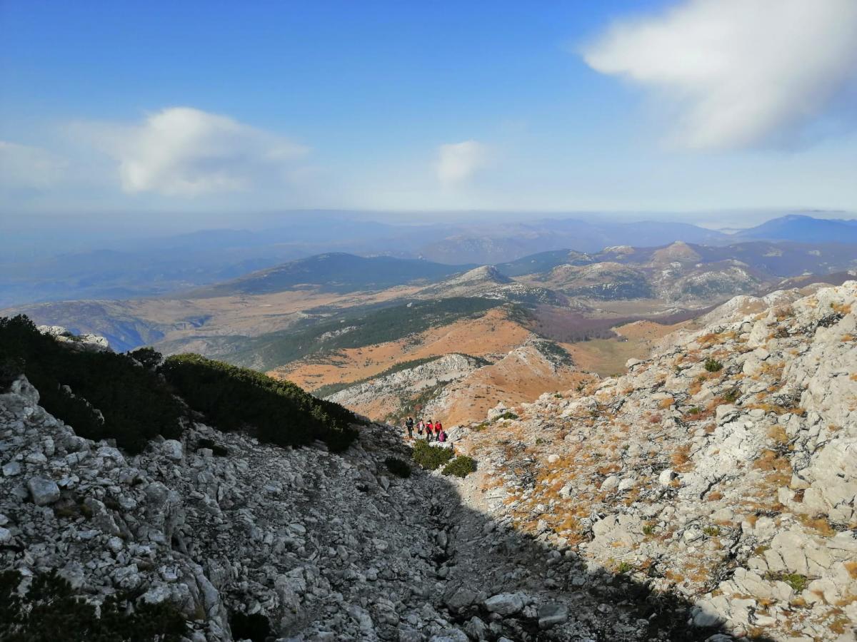 WhatsApp-Image-2021-11-07-at-171330