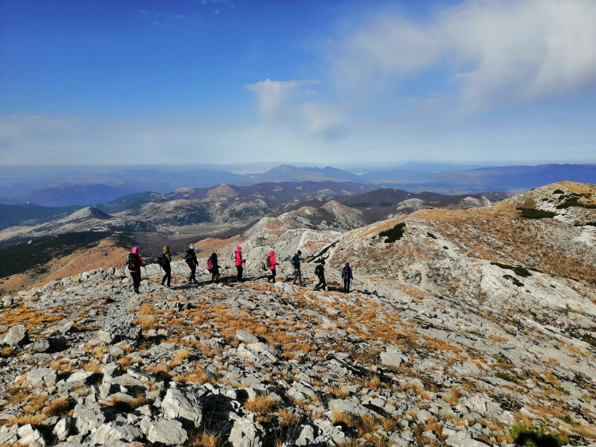 WhatsApp-Image-2021-11-07-at-171331-1