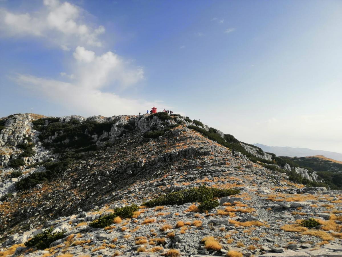 WhatsApp-Image-2021-11-07-at-171331-2