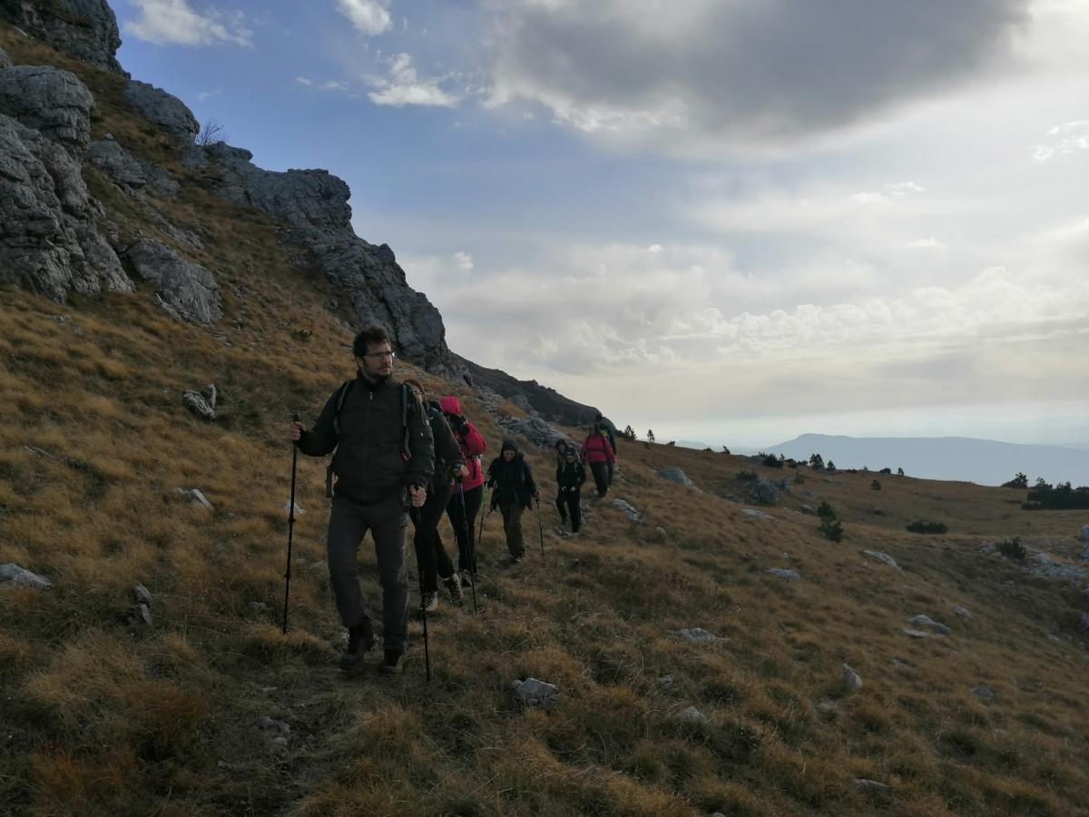 WhatsApp-Image-2021-11-07-at-171331