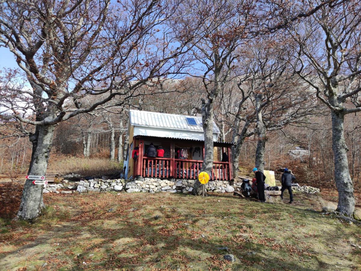 WhatsApp-Image-2021-11-07-at-172536-2