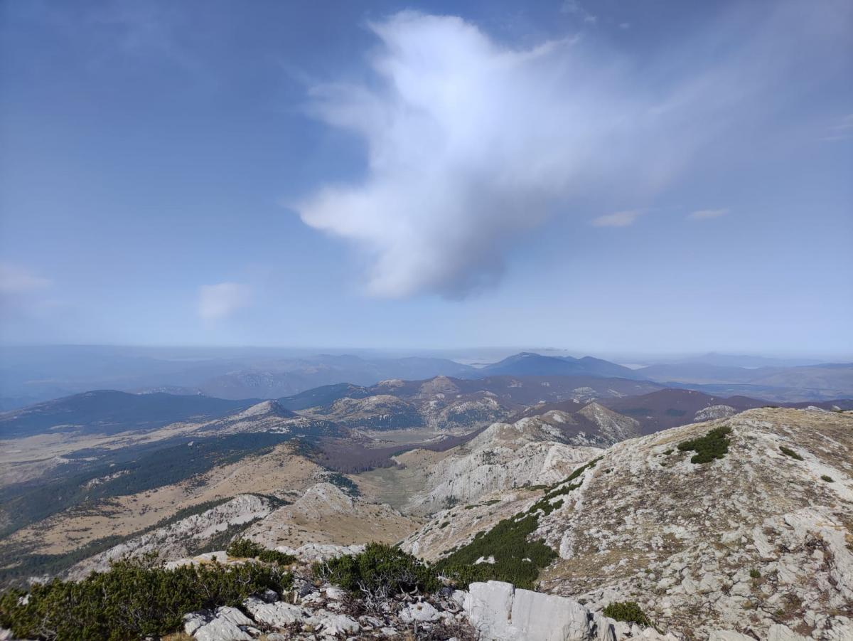 WhatsApp-Image-2021-11-07-at-172537-2