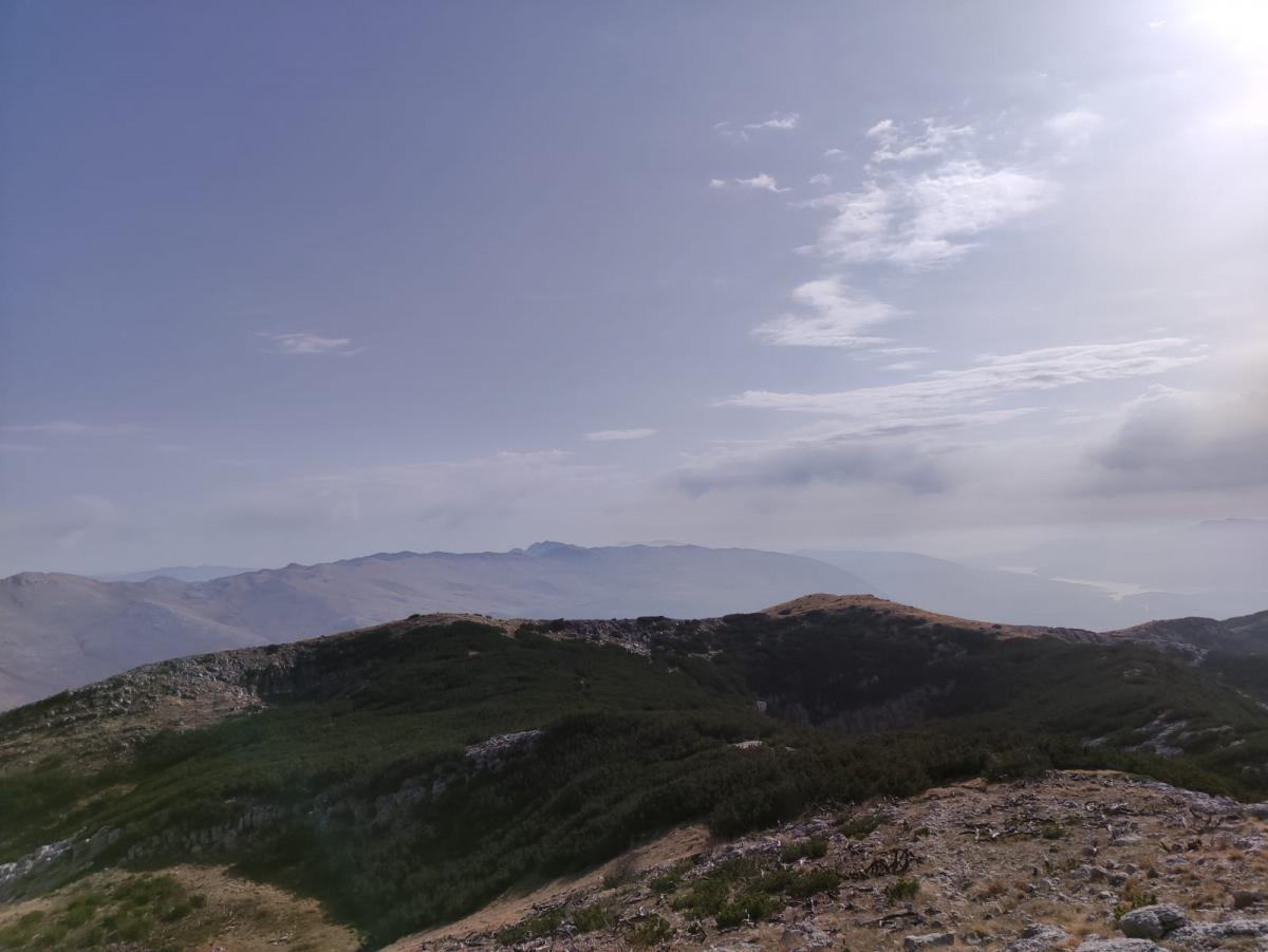 WhatsApp-Image-2021-11-07-at-172538