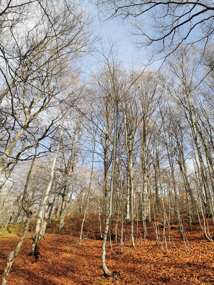 WhatsApp-Image-2021-11-07-at-174339