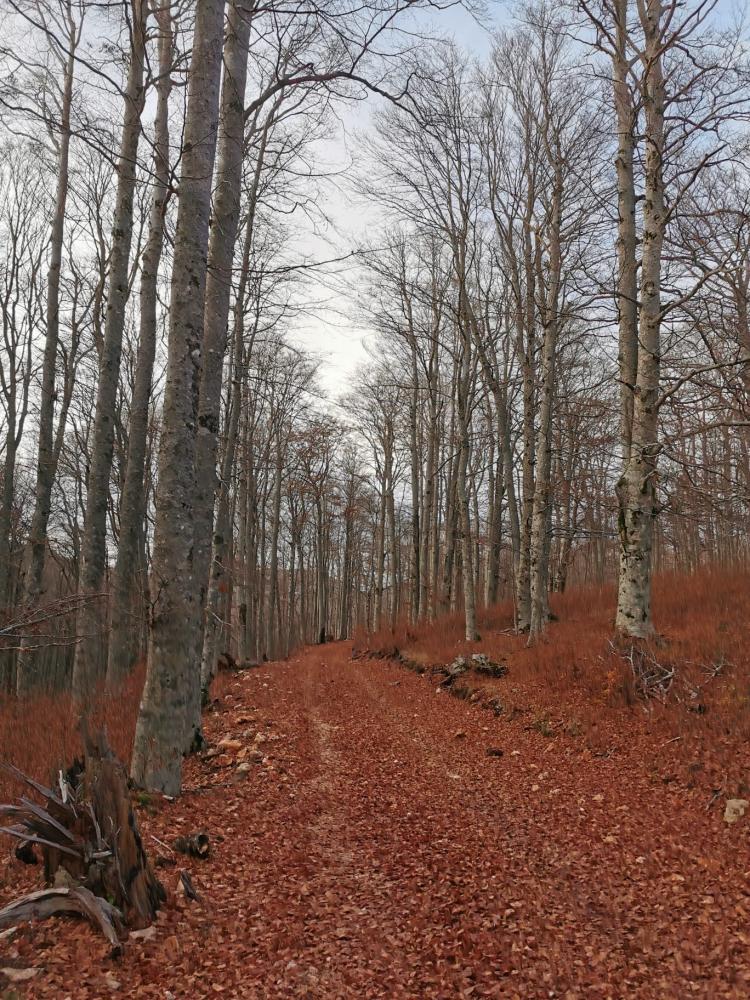 WhatsApp-Image-2021-11-07-at-174340-1