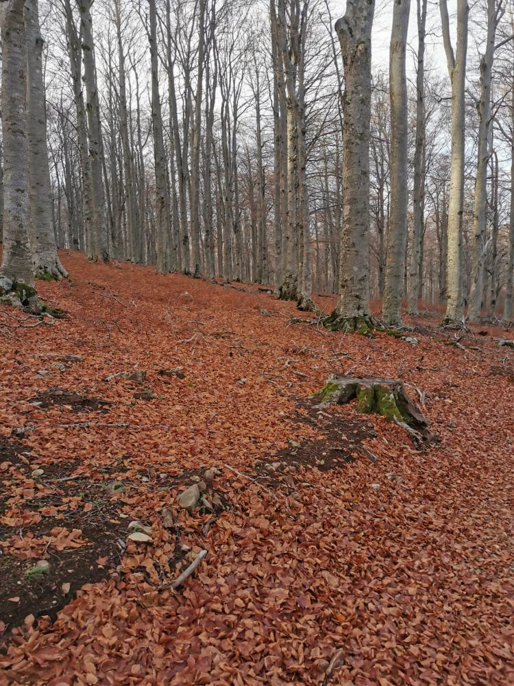 WhatsApp-Image-2021-11-07-at-174340-2