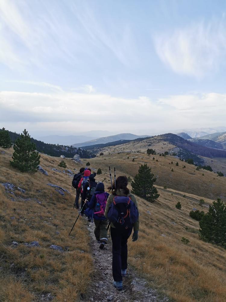 WhatsApp-Image-2021-11-07-at-174340-3