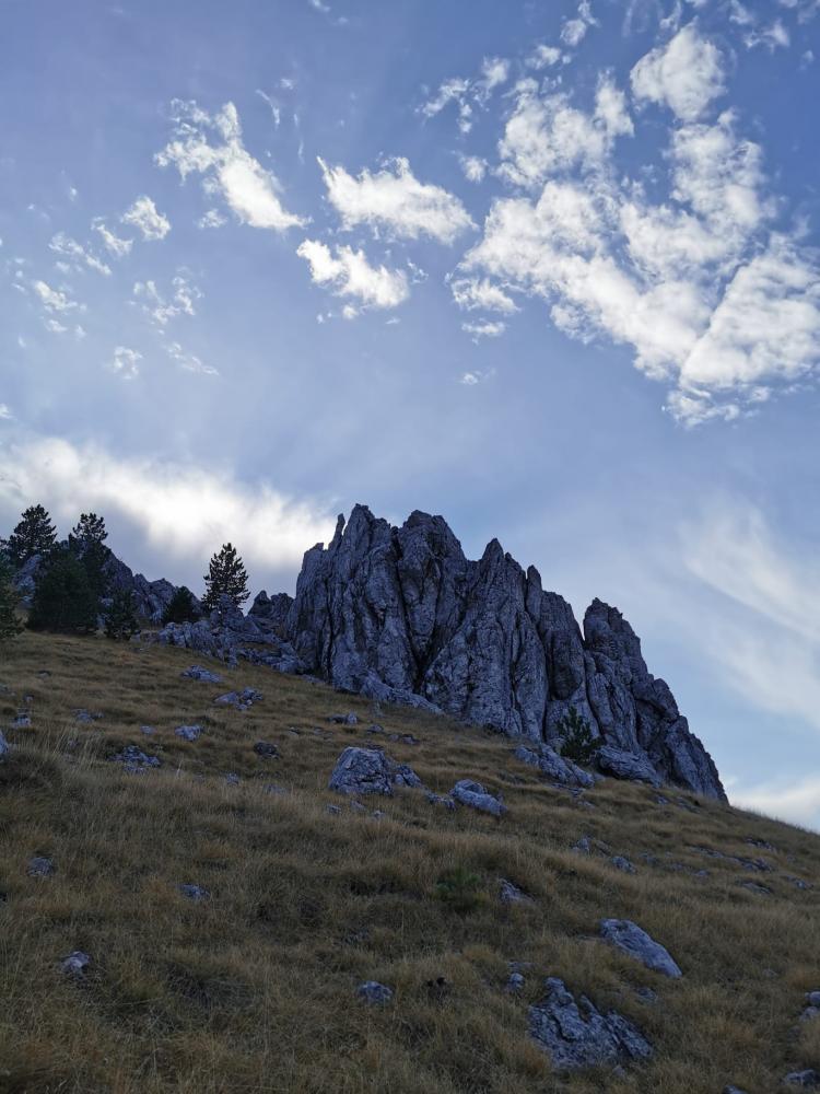 WhatsApp-Image-2021-11-07-at-174340-4