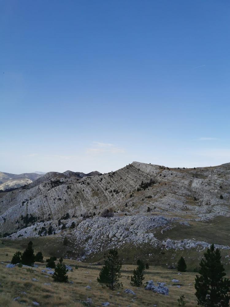 WhatsApp-Image-2021-11-07-at-174340