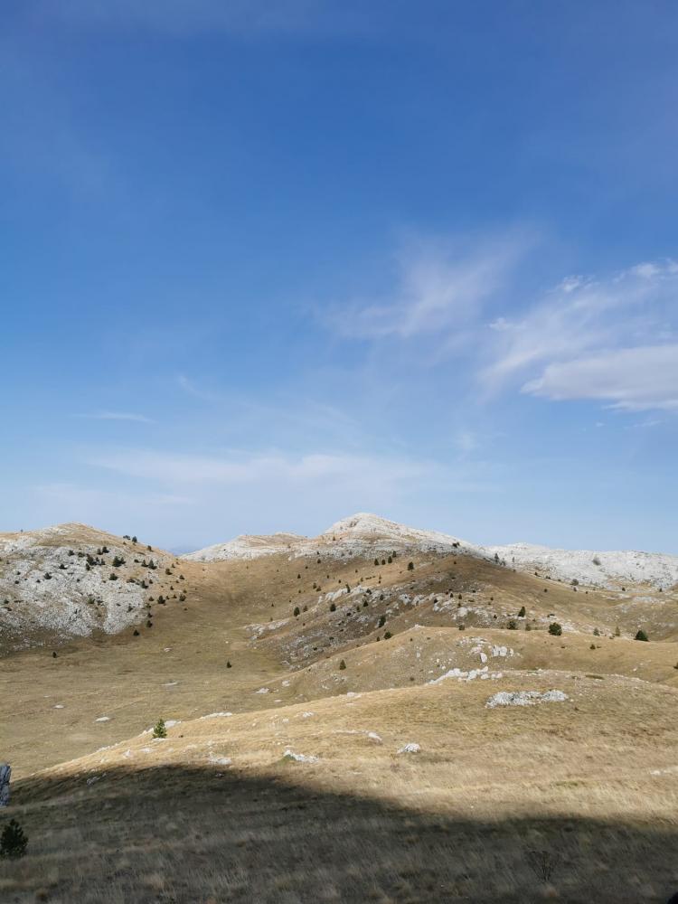 WhatsApp-Image-2021-11-07-at-174341-3