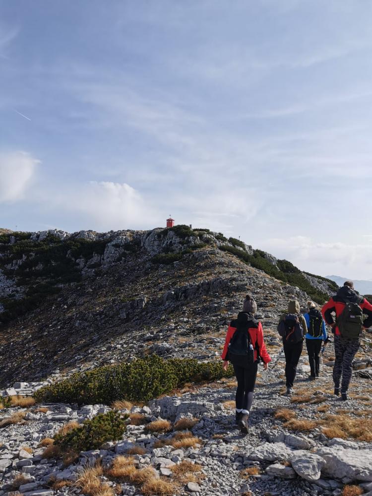 WhatsApp-Image-2021-11-07-at-174341