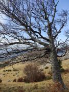 WhatsApp-Image-2021-11-07-at-171227-2