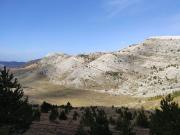 WhatsApp-Image-2021-11-07-at-171230-1