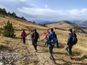 WhatsApp-Image-2021-11-07-at-171230-3