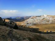 WhatsApp-Image-2021-11-07-at-171332-2