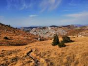 WhatsApp-Image-2021-11-07-at-171332-3