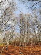 WhatsApp-Image-2021-11-07-at-174339