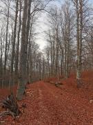 WhatsApp-Image-2021-11-07-at-174340-1