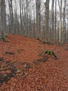 WhatsApp-Image-2021-11-07-at-174340-2