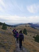 WhatsApp-Image-2021-11-07-at-174340-3