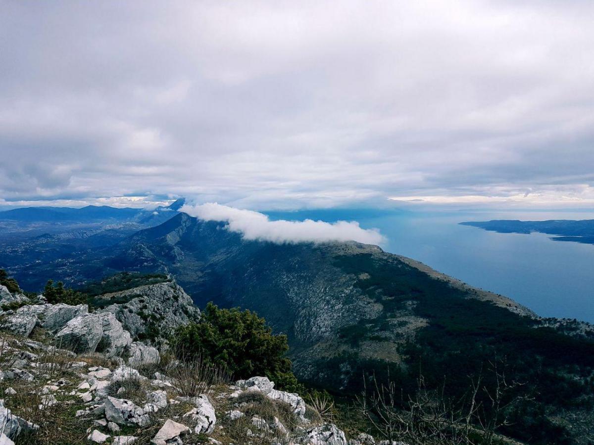 photo_2018-03-11_14-10-19