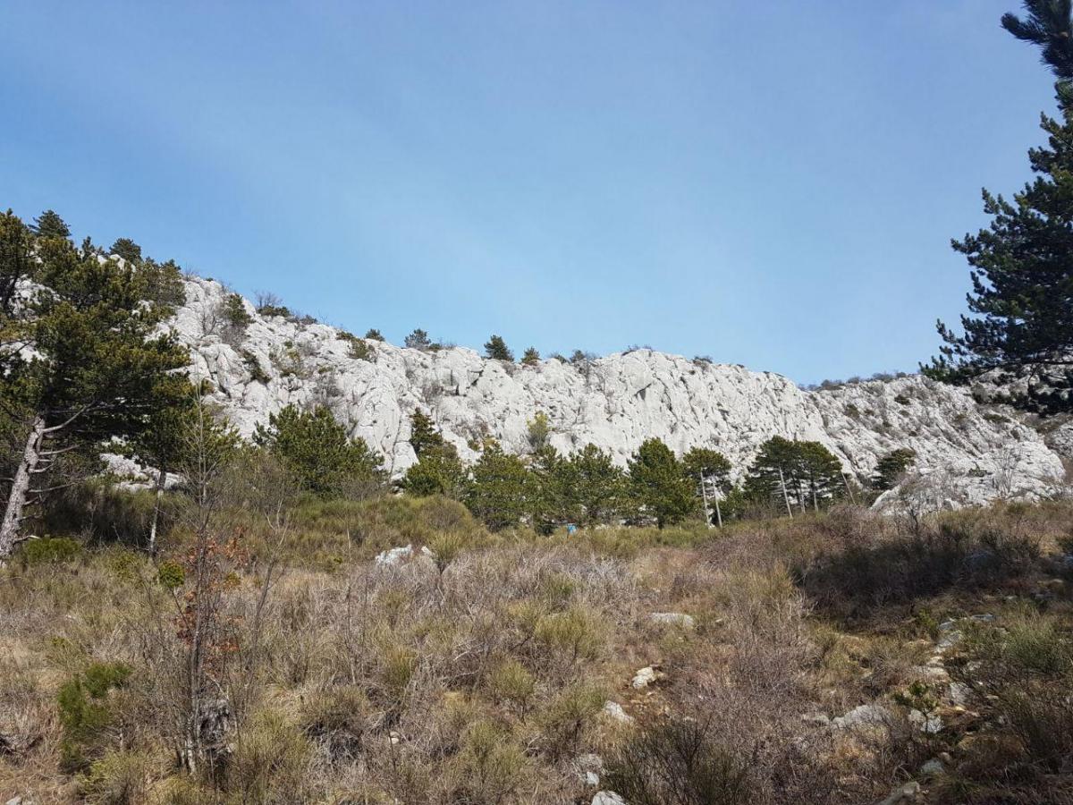 photo_2018-03-11_14-10-26