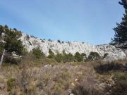 photo_2018-03-11_14-10-26