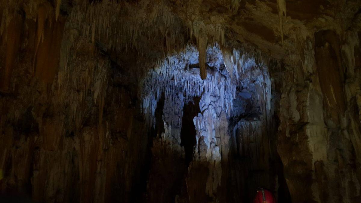 18618918_1347778581971659_1329128252_o