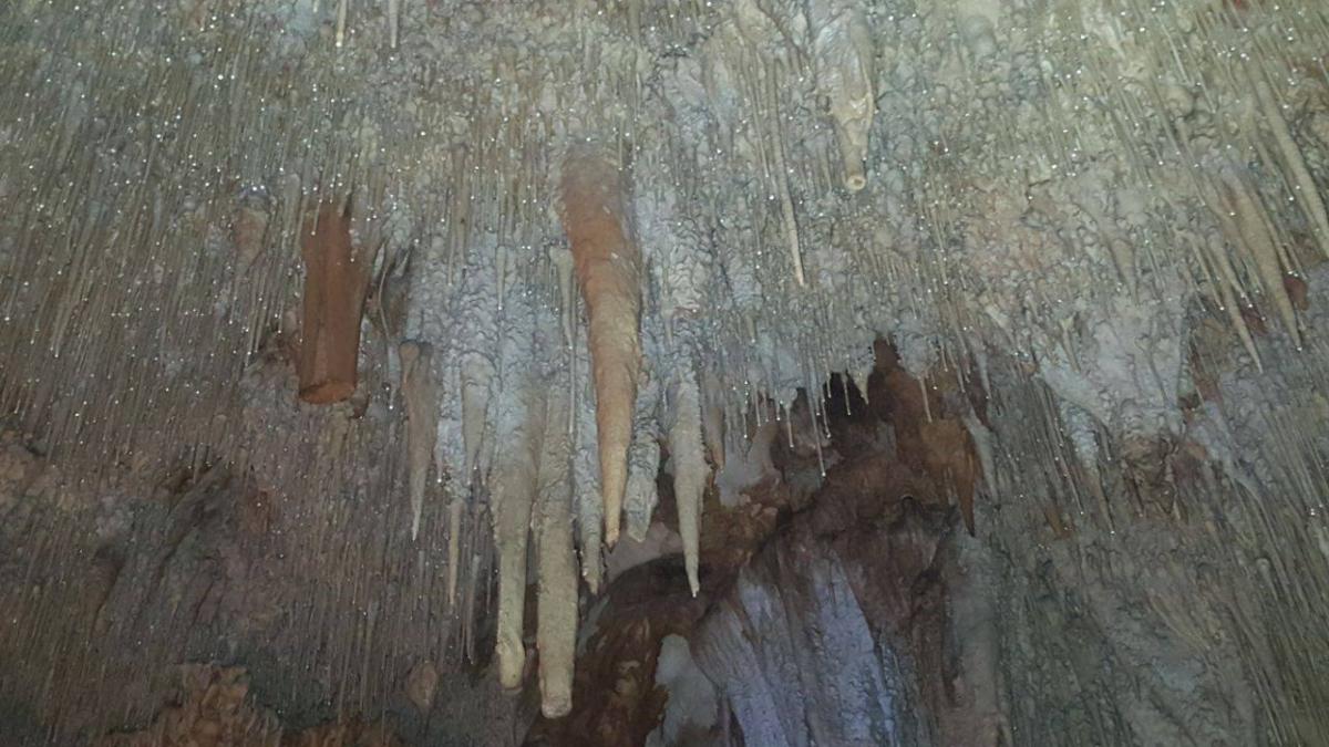 18641571_1347779355304915_997053878_o