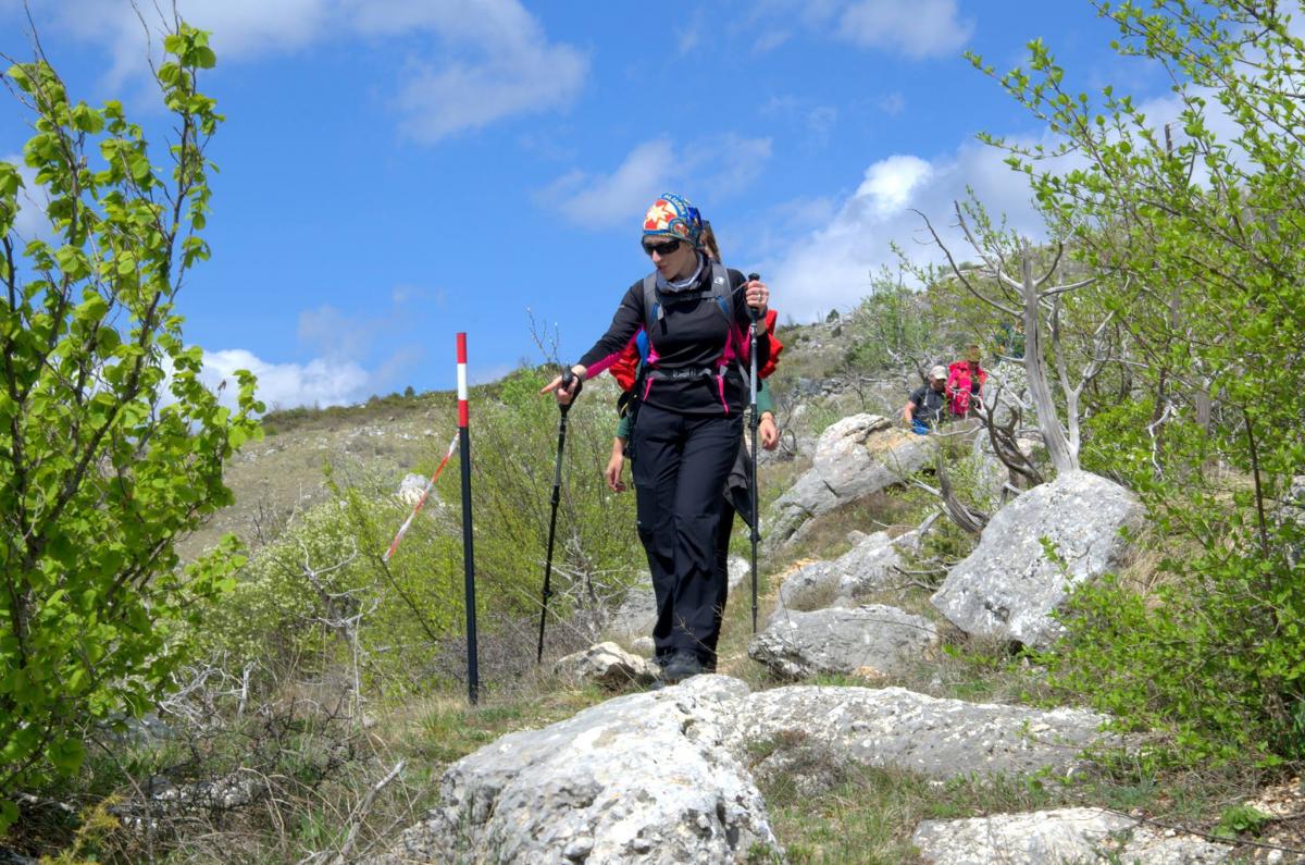 18049568_10211122067640667_1120282640_o